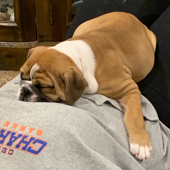 Meet your Posher, Clatus - Picture 2 of 3